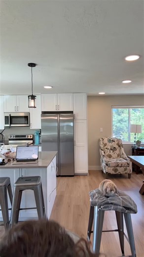 Bunnies at Play: Yoshi and Toad's Mischievous Adventures