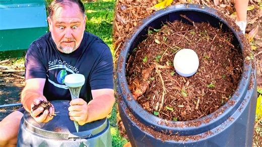 Smart composting made easy: How Monty transforms organic waste into garden gold!