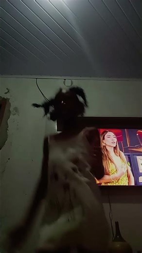 15 de março de 2026