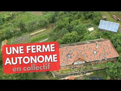 They have been living on a self-sufficient farm for over 8 years.