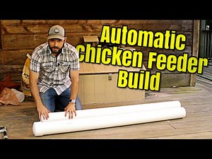 Building a DIY Automatic Chicken Feeder