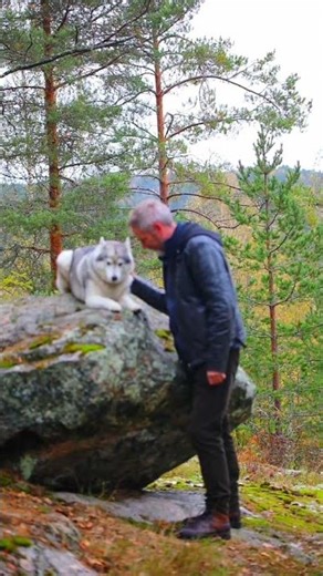 Dog with old man enjoying the weather short trending#youtube viral dog with puppie short trend video