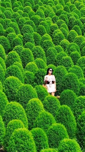 Top Beautiful Tourist attractions places on earth 🌎 #travel #nature #adventure #explore