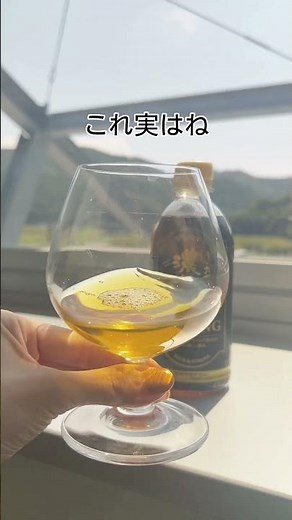 #伊藤園 #お〜いお茶 #おーいお茶 #濃い茶 #プレミアムストロング #2024年9月9日発売 #いわゆるソフトドリンクのお店