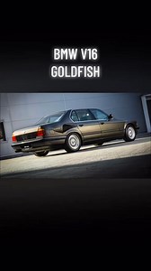 Goldfisch V16 #goldfisch #V16 | Swiss BMW