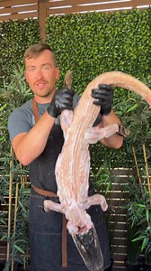 3.6M views · 16K reactions | Christmas Gator | Burnt_Pellet_BBQ | Facebook