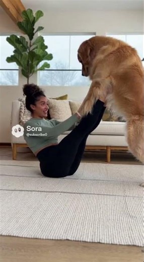 Doga for Beginners Yoga with Your Dog #doga #tutorial #pettraining