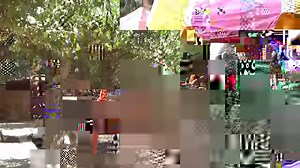 Get Ready for October Weekends at Live Oak Canyon! Check out the Live Entertainment line-up: https://liveoakcanyon.com/food-entertainment/ Take a virtual video tour of our opening weekend! | Live Oak Canyon Pumpkin Patch and Christmas Tree Farm