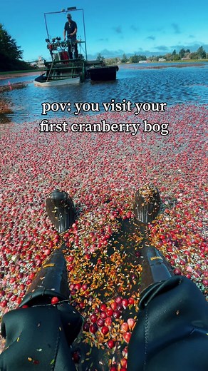 Ocean Spray Inc. on TikTok