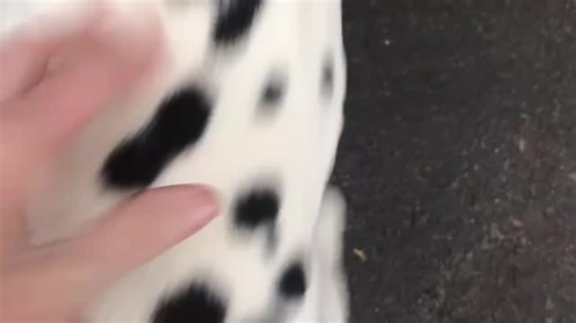 34K views · 2.6K reactions | BARNEY TRUBBLE’ IS HOMEBOUND ❤️ Barney...