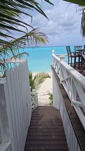 🌴 Dreaming of your Exuma getaway? 🌴⁣ ⁣ Check out our availability for late 2025 and spring 2026: ⁣ ⁣ Nov 16-22, 2025⁣ Dec 7-13, 2025⁣ Mar 22-27, 2026⁣ Apr 25-30, 2026⁣ ⁣ January and February are completely booked, DM us now to get started! Time’s running out! 🌊🌞⁣ ⁣ ⁣ ⁣ ⁣ #zenexuma #exumadream #exumabahamas #bahamasvacation #itsbetterinexuma | Zen Exuma