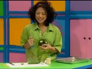Hi-5 Mystery: Kathleen's Vegetables Face