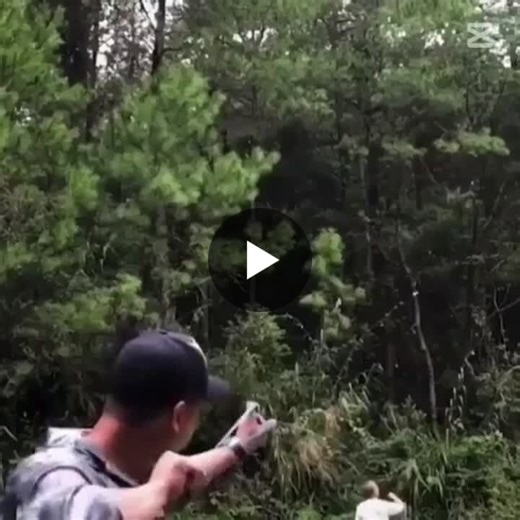 How to Identify a Bad Manager and Improve Your Career | Sameen M. posted on the topic | LinkedIn