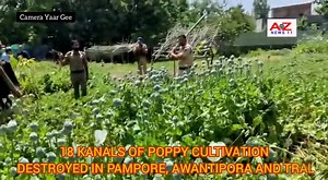 3K views · 51 reactions | *18 KANALS OF POPPY CULTIVATION DESTROYED...
