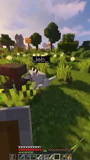 Rainbow Dog Transformation in Minecraft