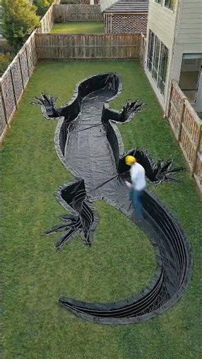 I Built a Giant Lizard Shaped Pool in My Backyard 🦎 H l7EtnMscw