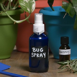 42K views · 1.1K reactions | Instead of using conventional sprays that shower your body in harmful chemicals, try this homemade bug spray recipe this summer! Get the full recipe: https://bit.ly/2Txl3jl. | Dr. Josh Axe | Facebook