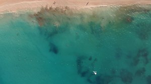 897K views · 125 reactions | A la carte restaurants, thematic buffets, room service, food trucks...all to make your vacation one-of-a-kind. Do you want a taste? #Evenbetterthantheysay | Iberostar Beachfront Resorts | Facebook