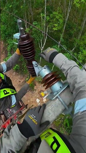 🔥 The Safety Device That Protects Power Lines ⚡😳