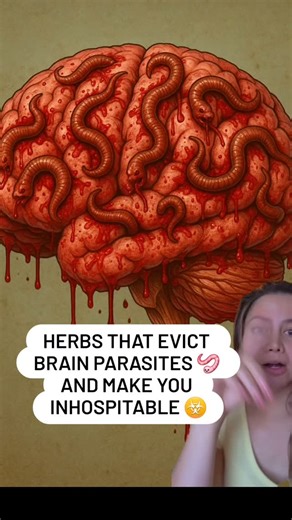 Danica on Instagram: "FULL BODY PARASITE CLEANSE 🪱👇 Parasites can burrow ANYWHERE in the body and if you do not detox at the cellular level which includes all organs and the brain you risk UNDERTREATING and having them simply migrate elsewhere in your body to ensure their survival. This is how I cleanse to make my ENTIRE body inhospitable to parasites: 1. I use herbal tinctures renowed for eradicating all life forms and types of parasites. These herbs have been used for CENTURIES by many cultu