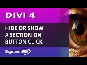 Divi 4 Hide Or Show A Section On Button Click