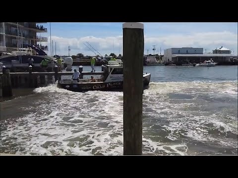 Boaters show off their skills in the 50th annual boat docking competition in Maryland