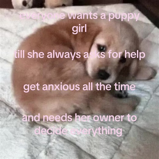 the puppy girl life is a tough one || #puppygirl #puppy #relationship #daddysgirl #orders