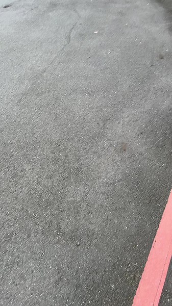 Subaru 車迷必看！改裝與車生活分享