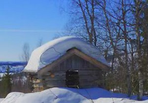 Snow Park Forest Escape - Escape Fan