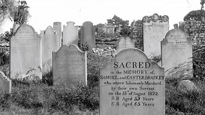 26K views · 278 reactions | Discover Central Station's deep dark...