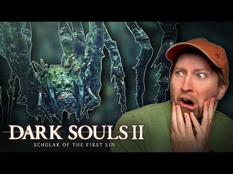 Arachnophobia Unlocked (Brightstone Cove Tseldora) | Dark Souls 2 (12)
