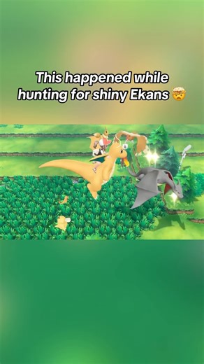 Rachel ✨ on Instagram: "While hunting for shiny Ekans, I got a super crazy surprise with a shiny Charizard! So you know I had to break my chain to catch it!✨ www.twitch.tv/rachshines • • • • • • Hashtags: #pokemon #shinypokemon #pokemontrainer #shinyhunter #shinyhunting #charizard #pokemonletsgo #pokemoncommunity"