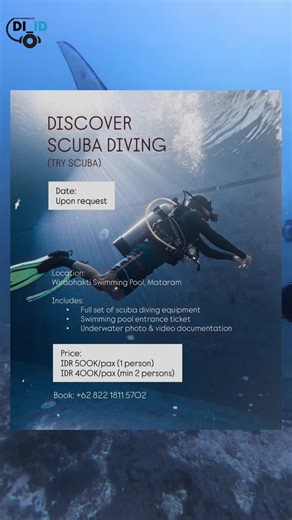 Discover Scuba Diving Experience in Mataram