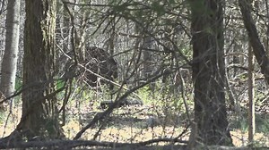 State de-annexation could clear the way for a controversial Summerfield project