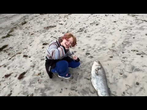 the clones go exploring: a documentary