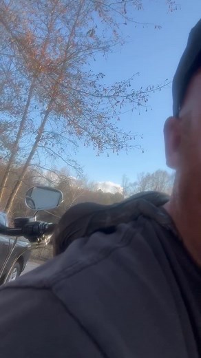 4.7K views · 186 reactions | Here’s one of our boys from our first clutch | The Legend Lizards | Facebook