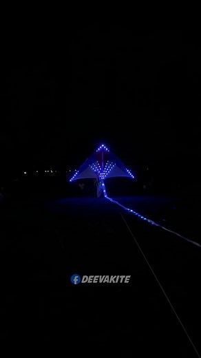 395K views · 8.5K reactions | Flying a delta kite full of beautiful lights | Deeva Kite | Facebook