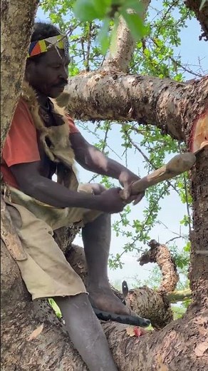 Tribal Winter Survival: How Forest Tribes Prepare for the Cold #shortvideo