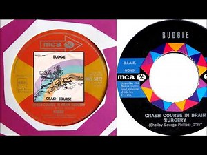 Budgie - Crash Course In Brain Surgery