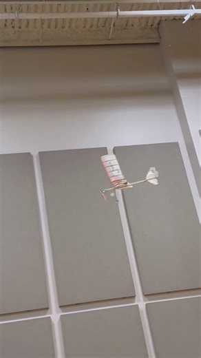 Hangar Rat hugging the wall