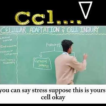 General vs Systemic Pathology: Simplified Explanation | General Pathology | Systemic Pathology |CCL