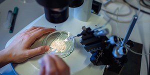 Chinese Researchers Claim to Have Genetically Engineered the First HIV-Immune Babies