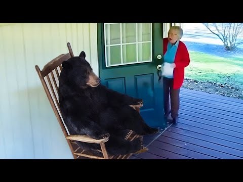 POV: You Open the Door and See THIS 😱😂