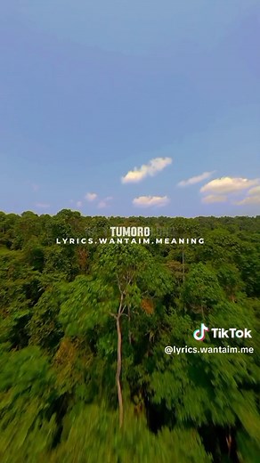 PNG Gospel Music Showcase: Lyricwantaimmeaning Song Explained