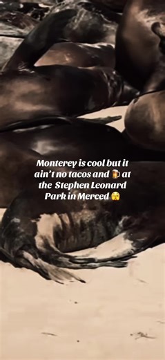 Best Tacos and Chill in Merced, California