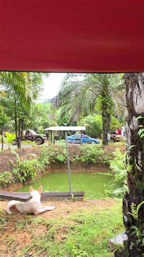 Exploring Optimum Prime: Features and Benefits