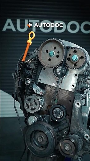 Zahnriemen richtig spannen. So ziehst du den Zahnriemen an 🔧⚙️ #howto #timingbelt #autoparts #auto