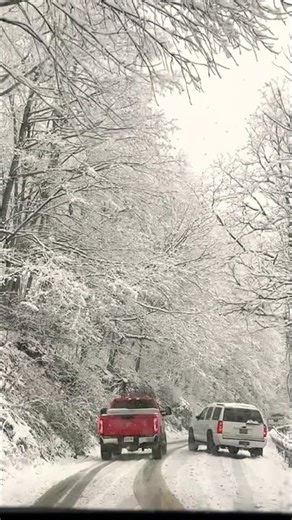 Snow In The Appalachian Mountains! #snow #nature #appalachia