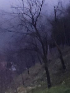 Lazari Swann Creepypasta: Full Story and Breakdown