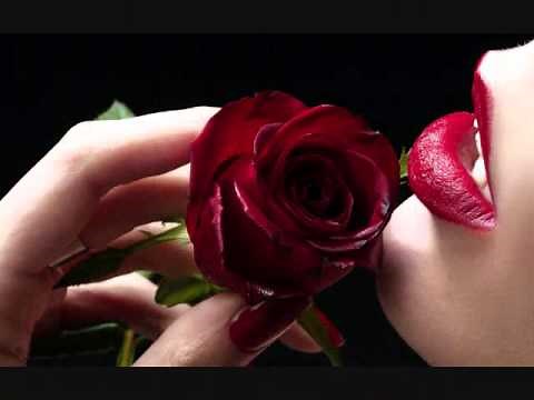 Tum Hi Tum Ho MeRi NiGahOn Main